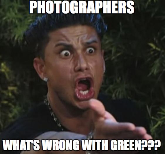 Funny Photography Memes