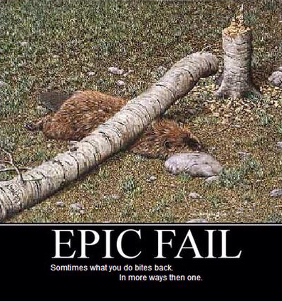 Epic Fail Memes